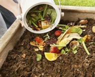 Что можно класть в компостную кучу — делаем органическое удобрение своими руками